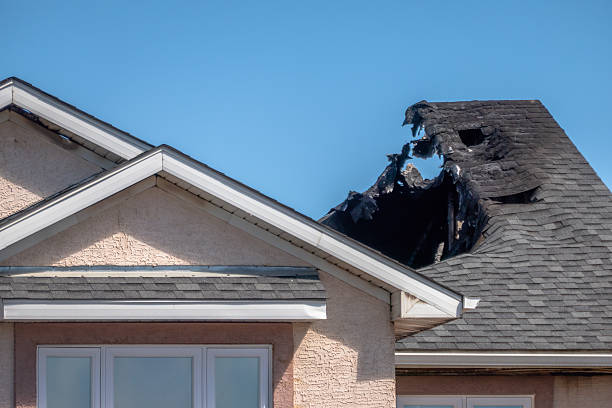 Top rated local Firefighting Water Removal specialists in Waddell, AZ